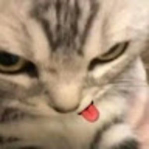 Meet your Posher, Hidaya